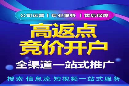 百度竞价排名策略：看这家公司如何逆袭
